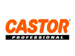 CASTOR